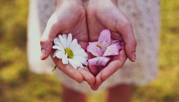 Six Edible Flowers