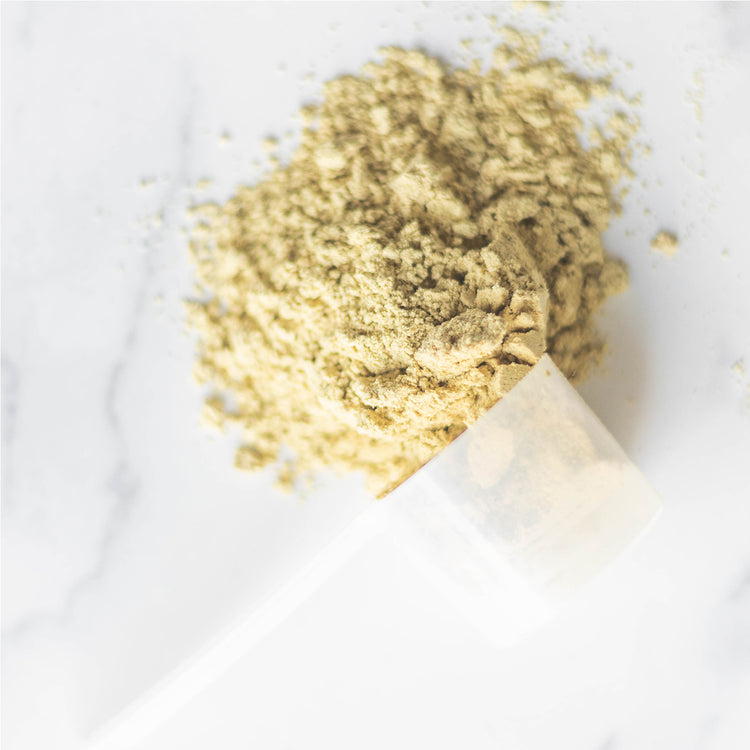 Scoop of Epic Protein Mindful Matcha Powder
