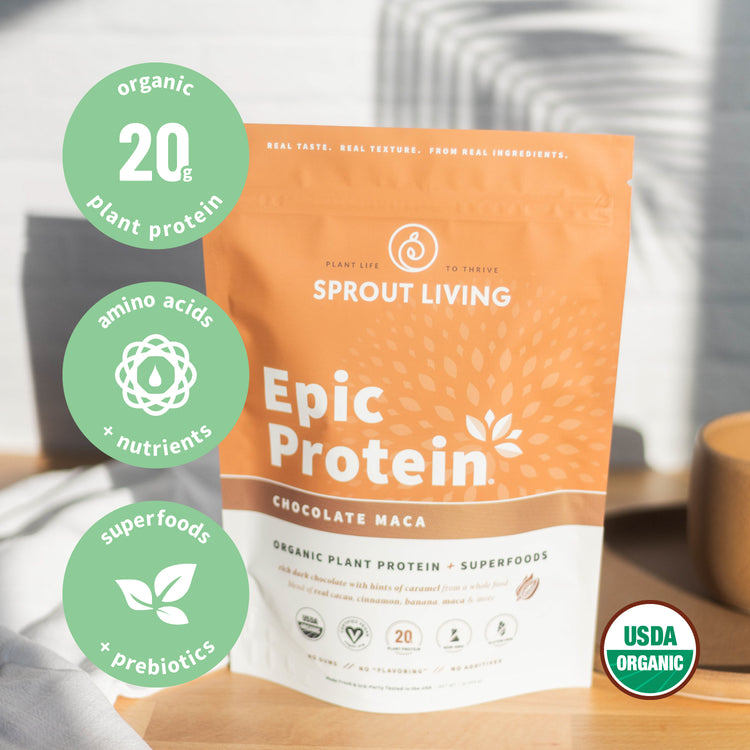 Epic Protein Chocolate Maca highlights