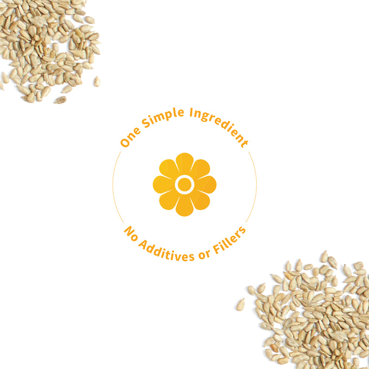 One simple ingredient graphic