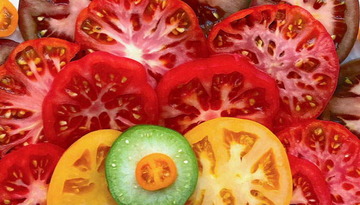 Quick Guide To Growing Your Own Tomatoes
