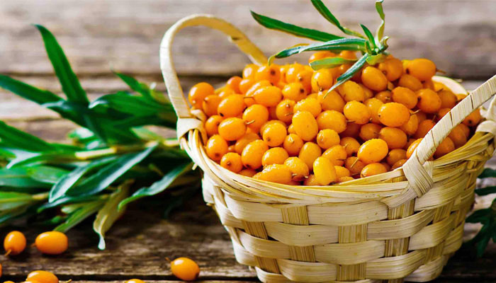 Six Benefit of Sea Buckthorn