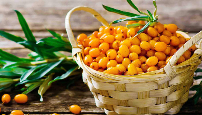 Six Reasons Why Sea Buckthorn Is The New "It" Berry