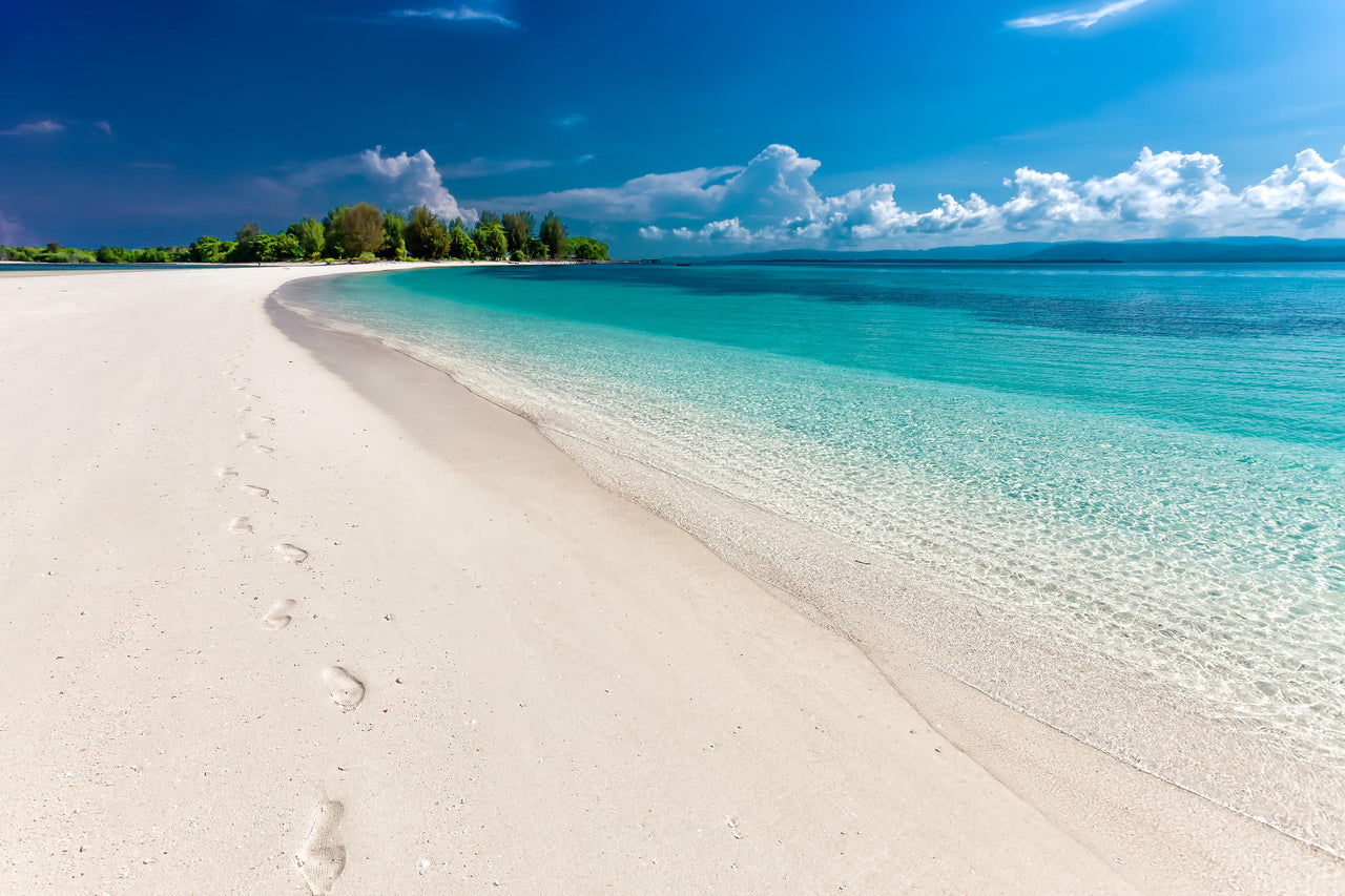 Beach and ocean on a sunny day