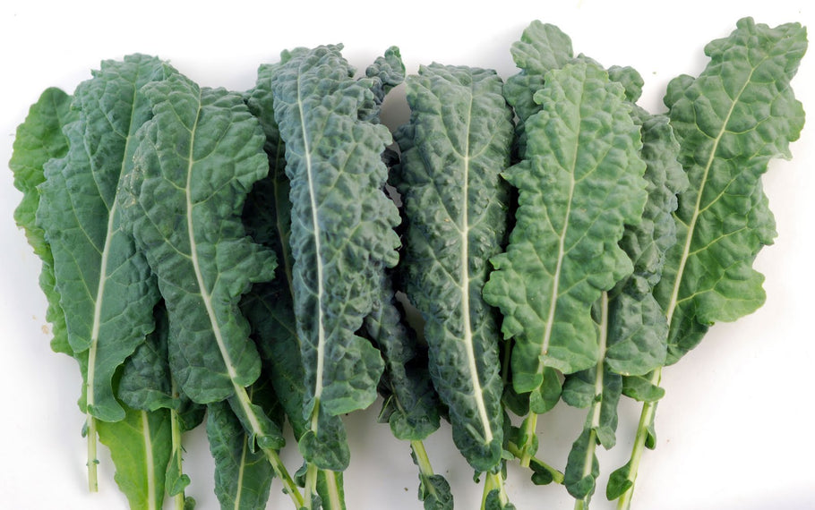 Benefits of Kale - What Kale Can Do For You!