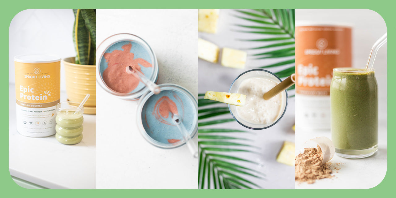 Spring 2024 Smoothie Guide - Sprout Living