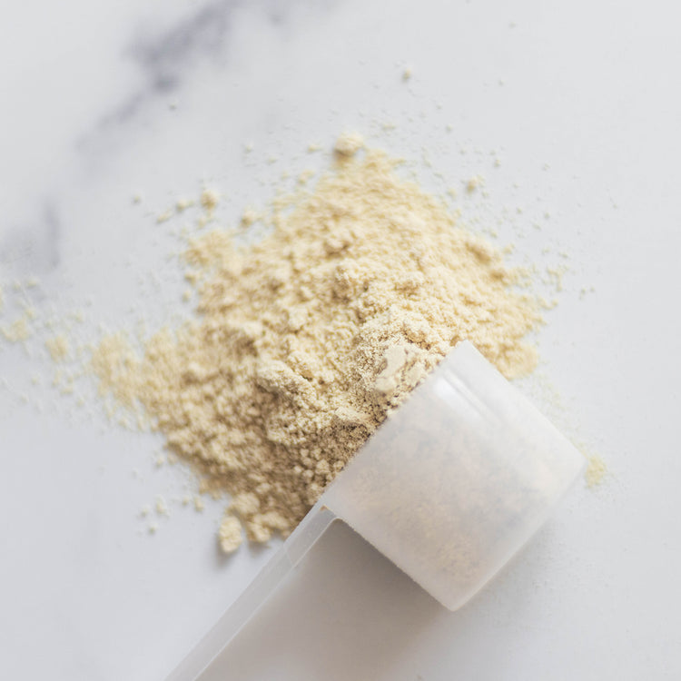 Scoop of Epic Protein Original Powder