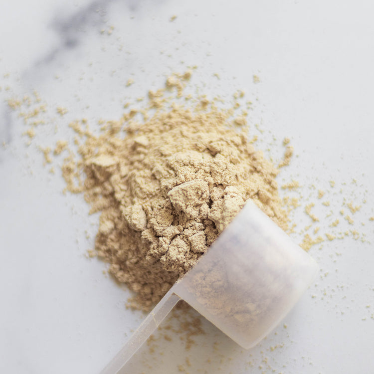 Scoop of Epic Protein Vanilla Lucuma Powder