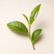 Mindful Matcha